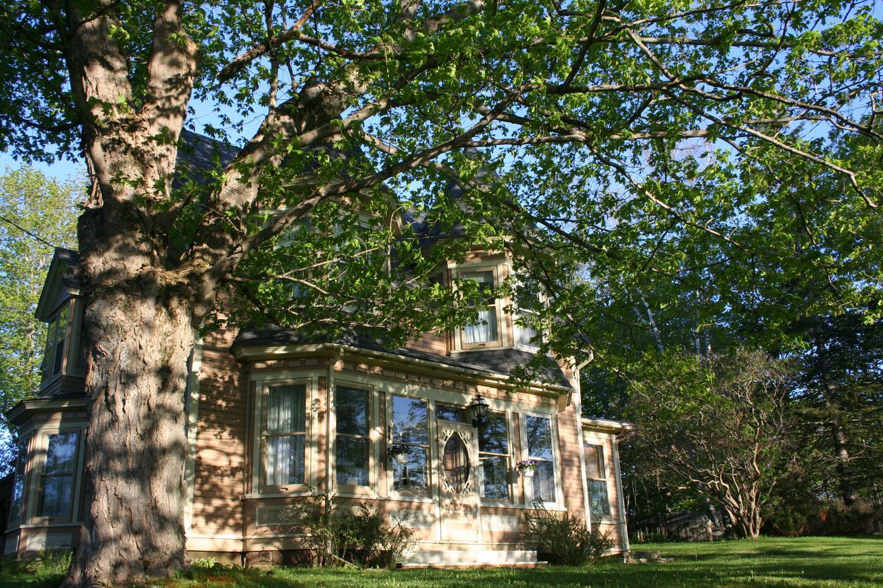Sackville Bed And Breakfast 外观 照片